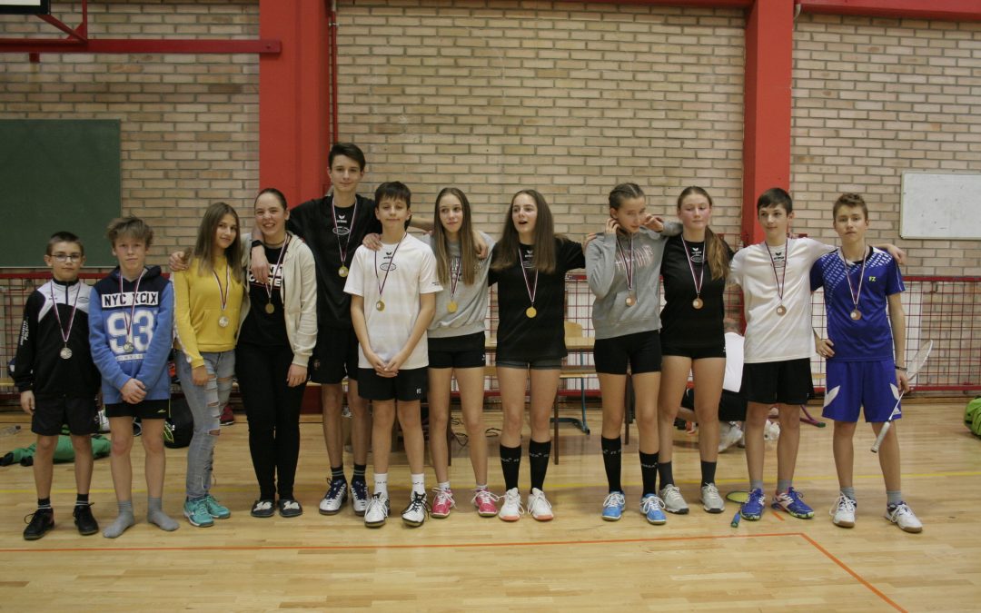 Badminton – področno ekipno tekmovanje