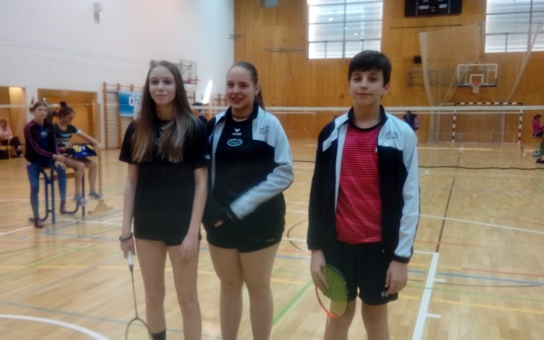 Badminton – finale državnega tekmovanja